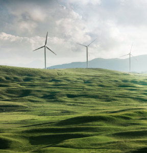Why Leaders Need To Shape Sustainable Organizations